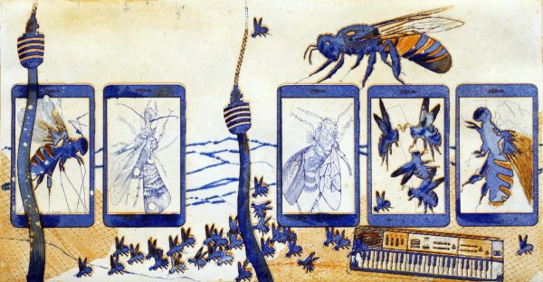  Biodiversität in Bietigheim 