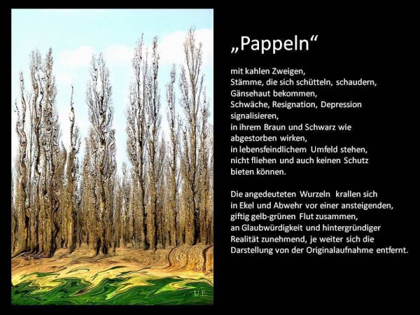 Pappeln