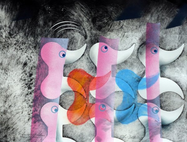 Die galaktischen Raumenten 